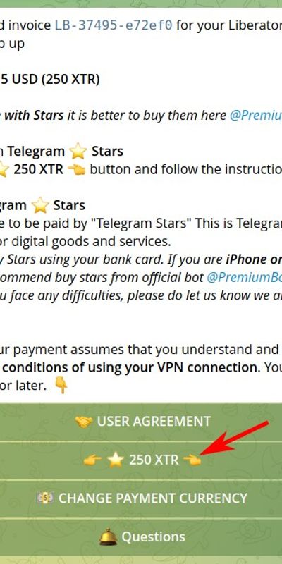 VPN subscription invoice in Telegram Stars